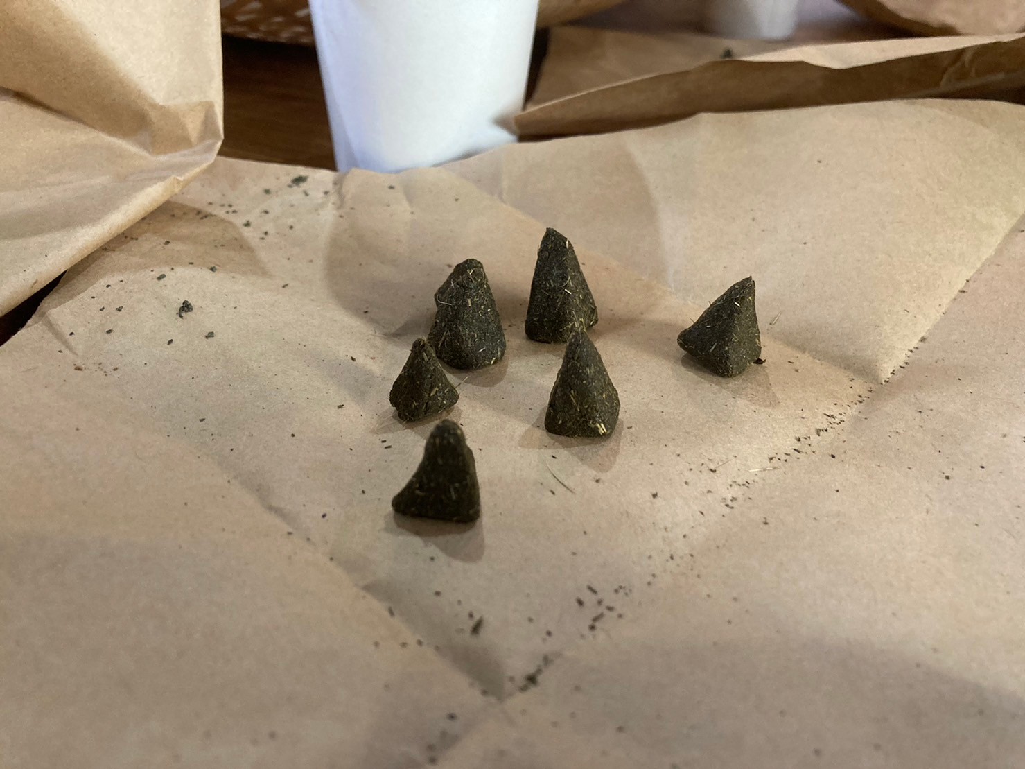 應用民俗植物開發體驗產品,池上青年培力工作站與富興社區青銀共創。