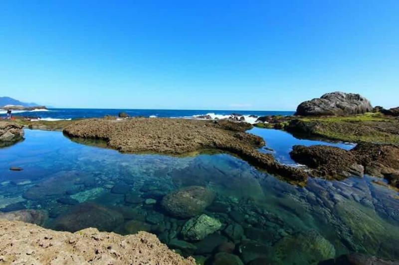 東海岸「台灣觀巴」套裝遊程 「養生療癒、網紅打卡」暢遊台11、9線