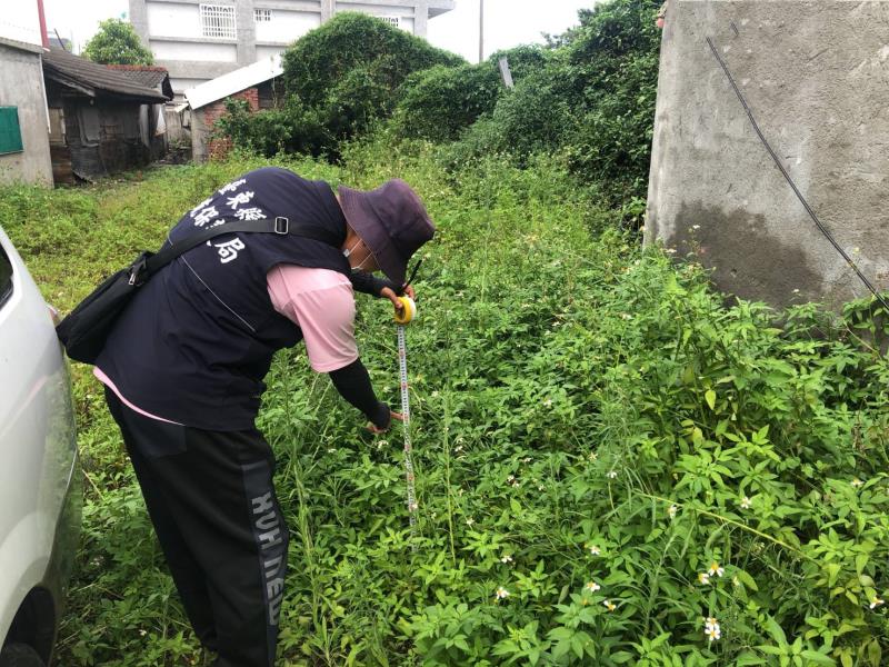 莫遮臺東美麗視角! 都市計畫區「雜草逾60公分」限期不改善最高罰6000元