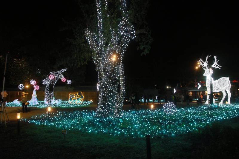 2023「鐵花燈の祭」正式登場! 鐵花新聚落「八米麋鹿、五大燈飾」 饒慶鈴：歲末年終陪大家持續到過冬