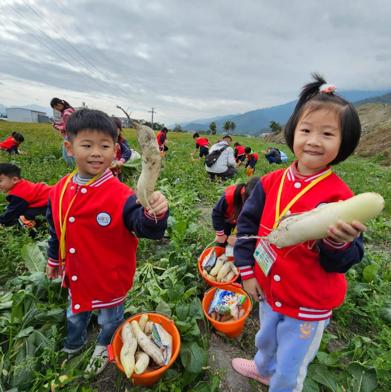 新北幼兒園85學童下鄉拔蘿蔔 新春關山新奇初體驗