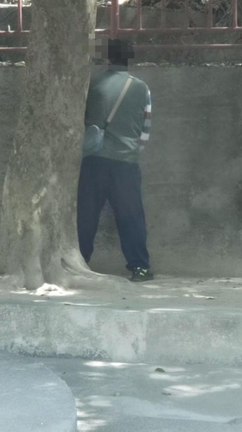 大街小巷都我家?! 網友討論「隨地便溺」看法一面倒「真的憋不了」