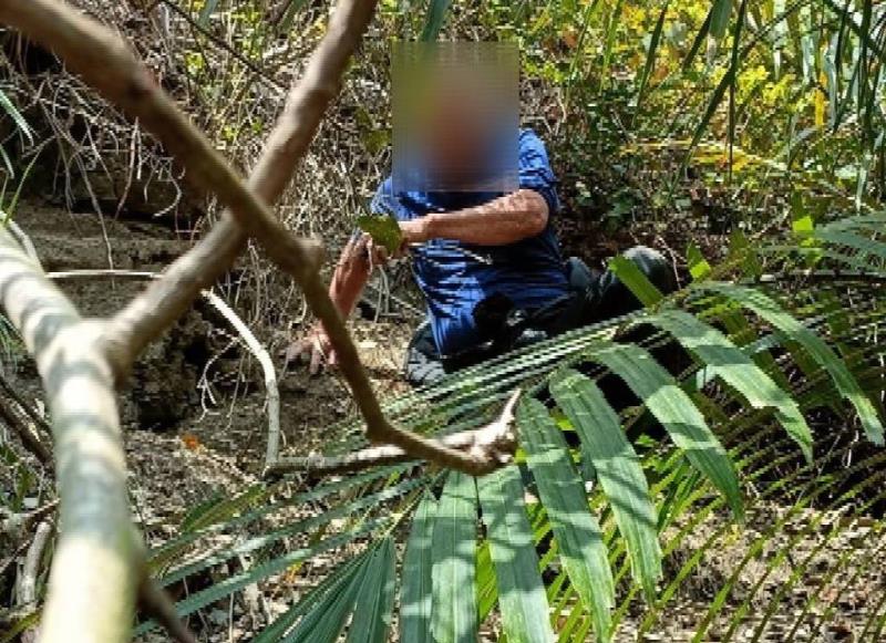 沈姓男子被「山壁林間跳躍獼猴」吸引  困在山林間3小時