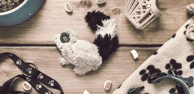 為寵物挑對商品! 農業部動保司「寵物用品選購指南」 歡迎民眾多多下載運用