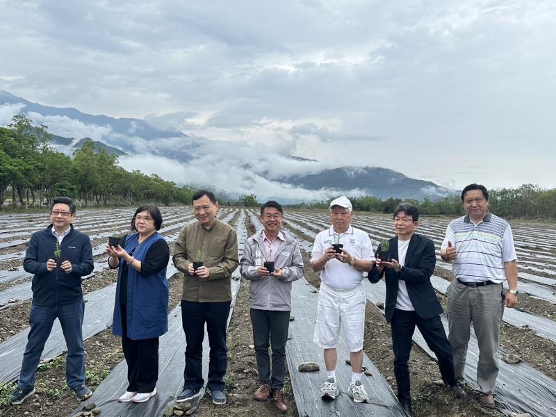 臺東縣政府攜手Blueseeds芙彤園打造7.8公頃全臺最大薰衣草田