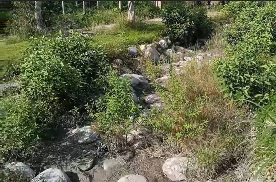 鹿野童話屋「雜草叢生，破壞場景！」 公所稱會負起維管責任