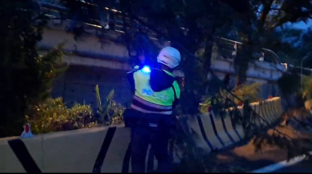 風雨中的守護者：成功分局警員冒險清除倒樹 確保道路安全