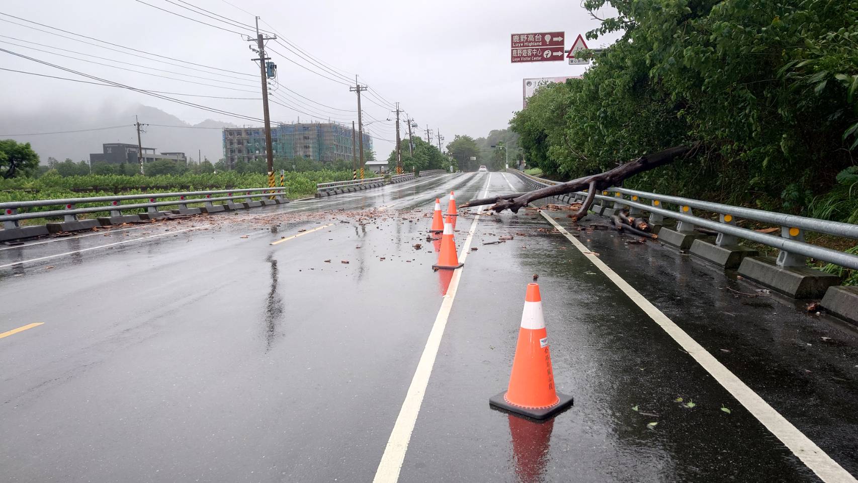 強颱「凱米颱風」過境關警嚴陣以待，迅速移除遭強風吹倒路樹護交安