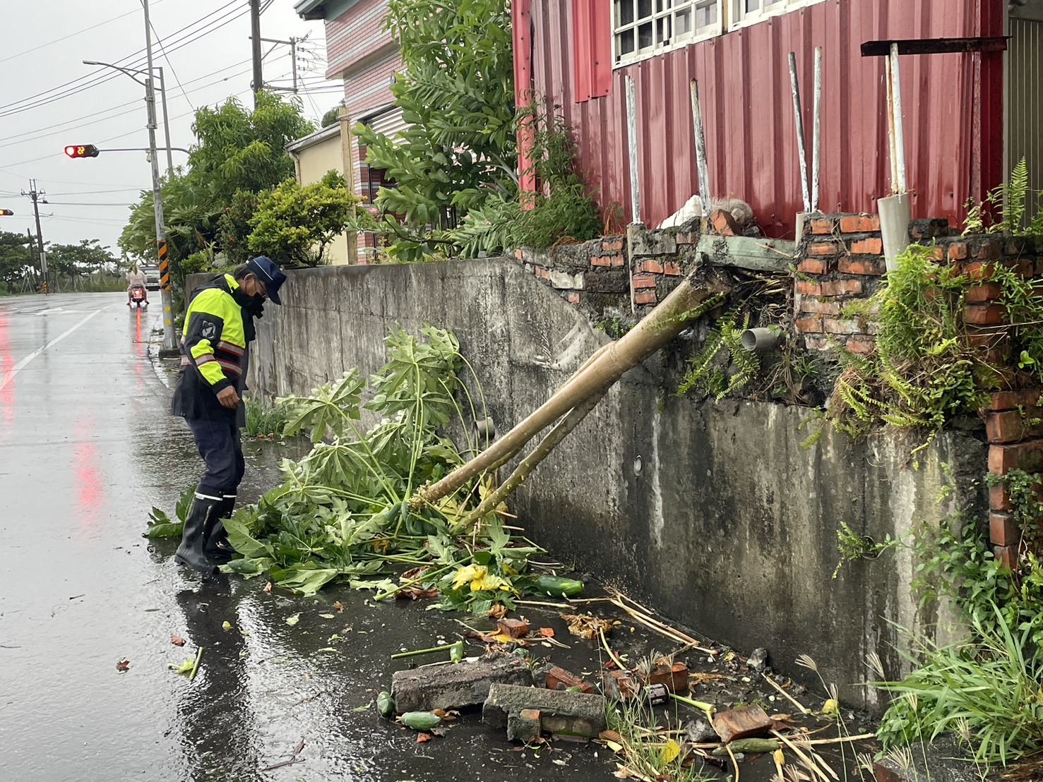 台9線南迴驛路口路樹倒塌 大武警即刻清除恢復交通」