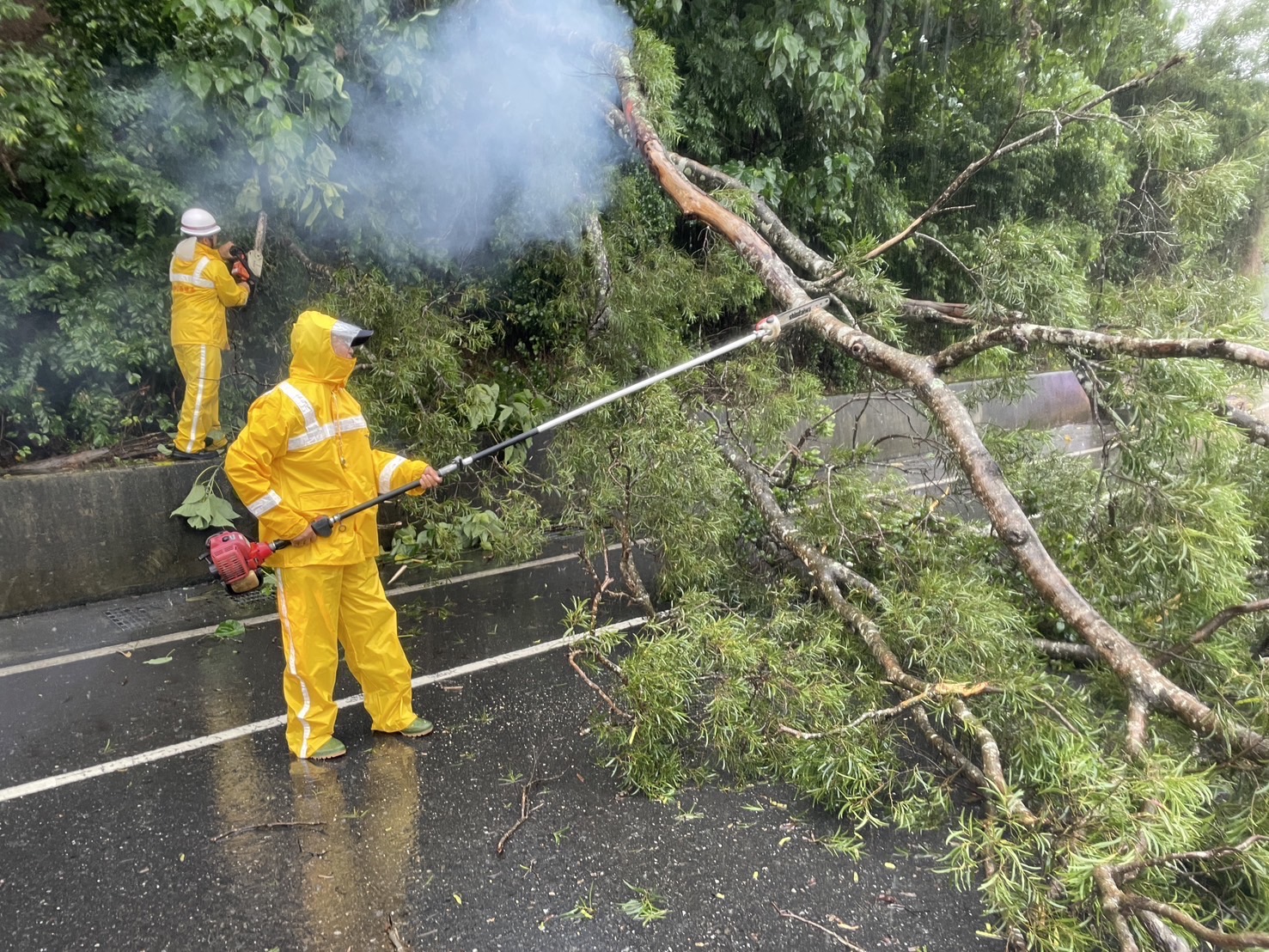 龍過脈樹倒、落石阻道　東警雨中交管確保交通順暢