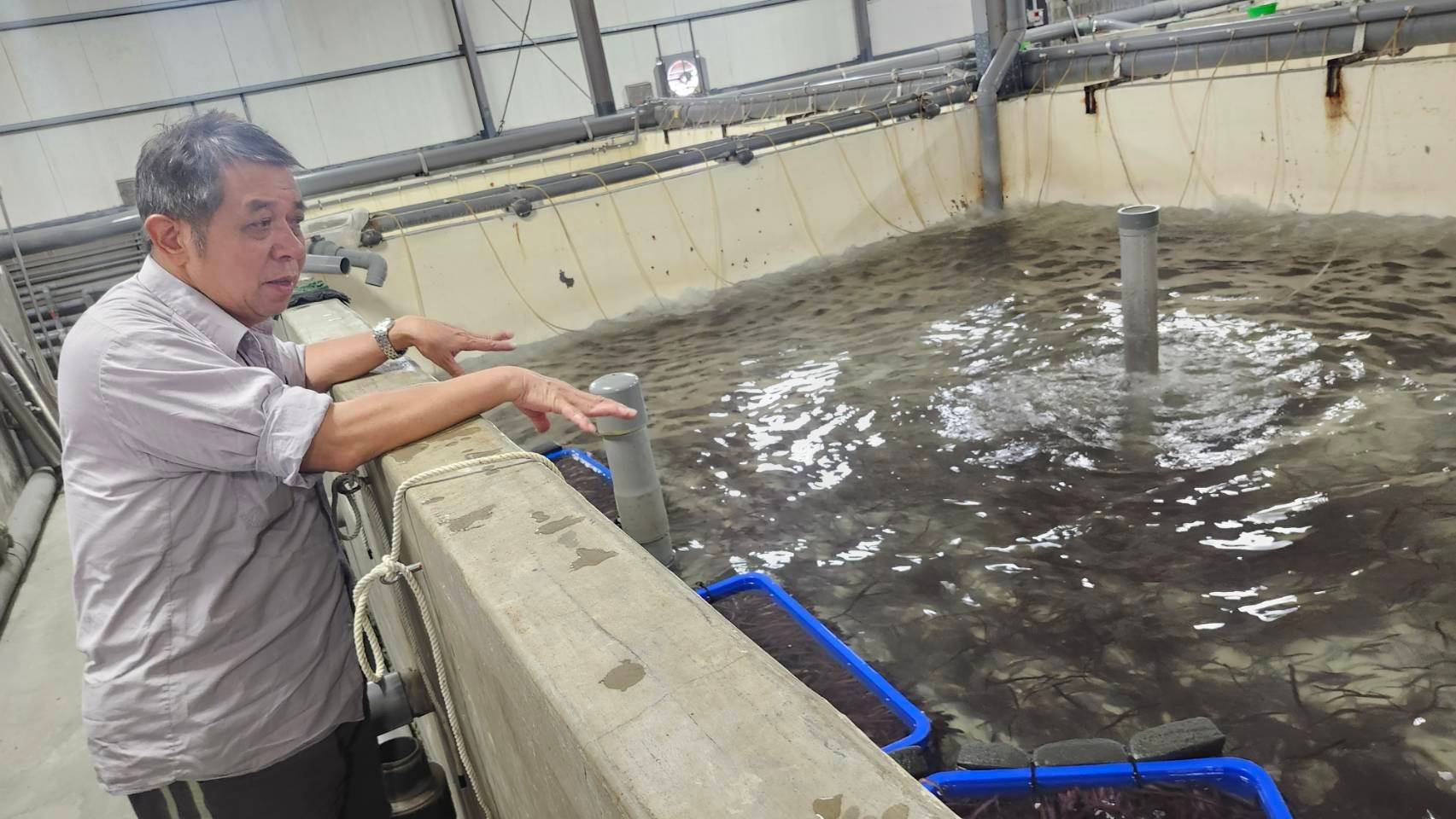 「鰻食臺東」的極品 工程師陳宜宏美麗的轉身與養殖堅持
