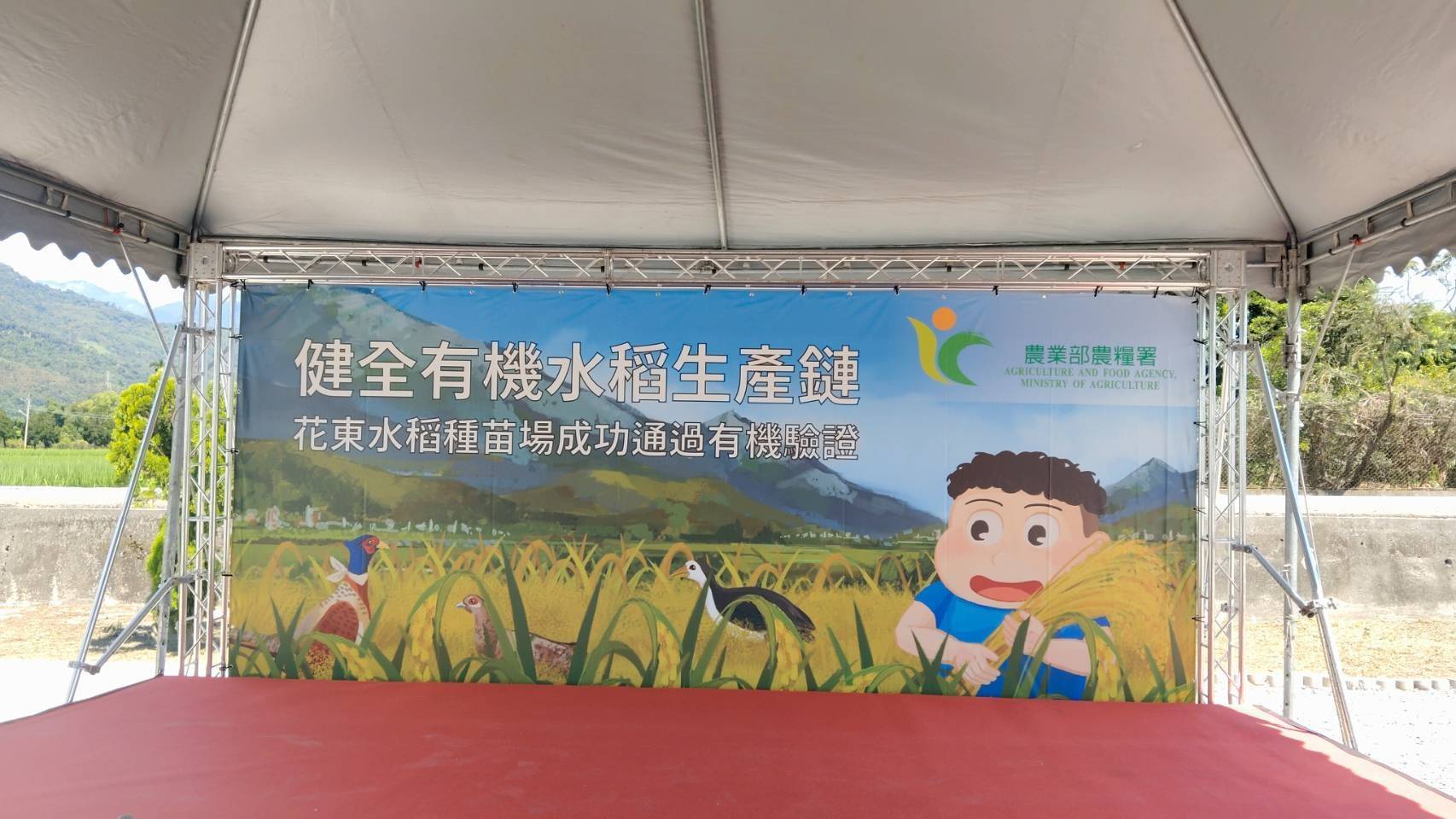 健全有機水稻生產鏈! 花東水稻種苗場成功通過有機驗證