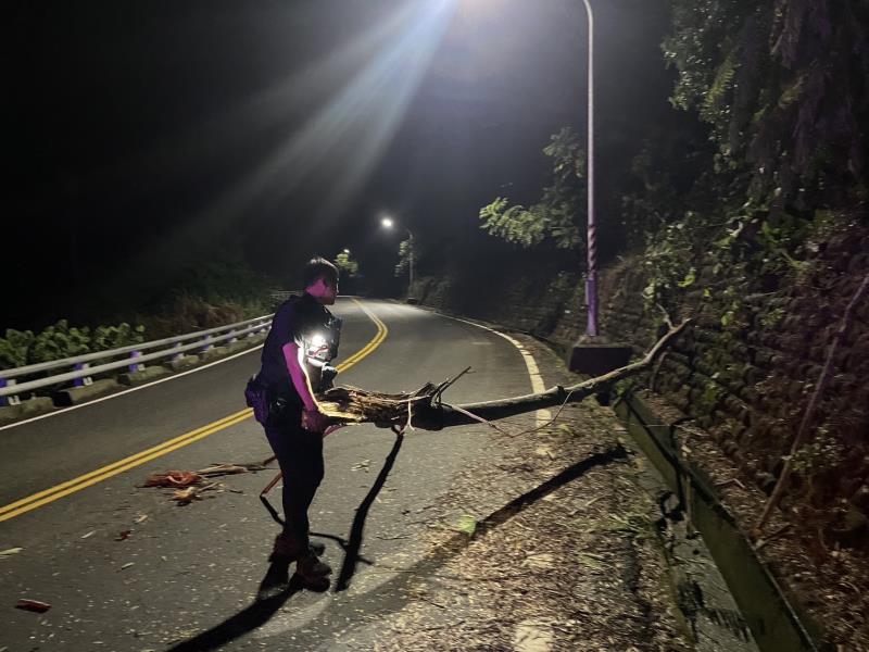 樹木倒塌道路中 巡邏警迅速合力徒手排除
