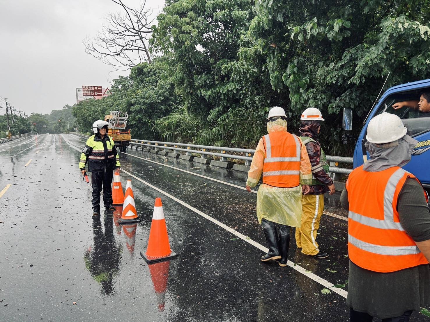 10米枯木不敵「山陀兒」倒下阻路 鹿野警迅速通報移除護交安