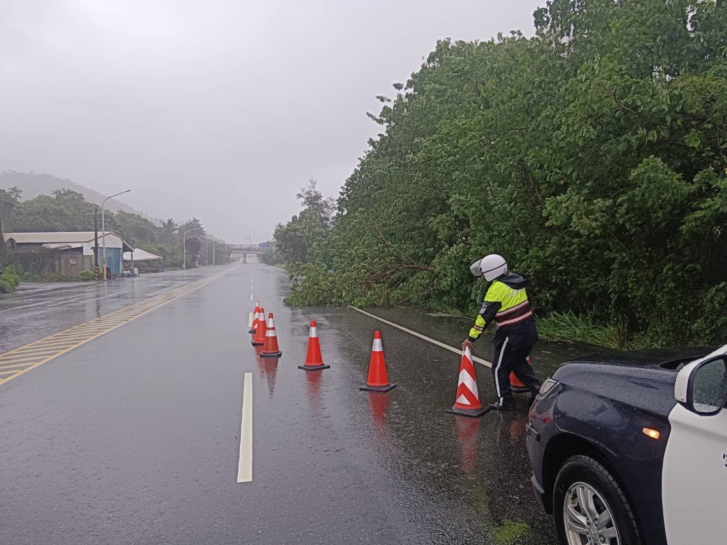 台9線379公里路樹倒塌 警即時排除維護用路人交通安全