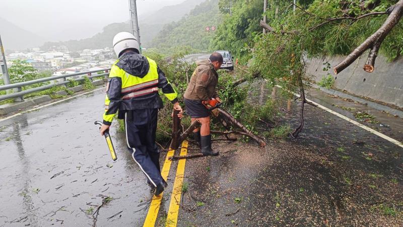 金崙大橋北端入口路「樹倒塌阻礙道路」警、民協力迅速清除