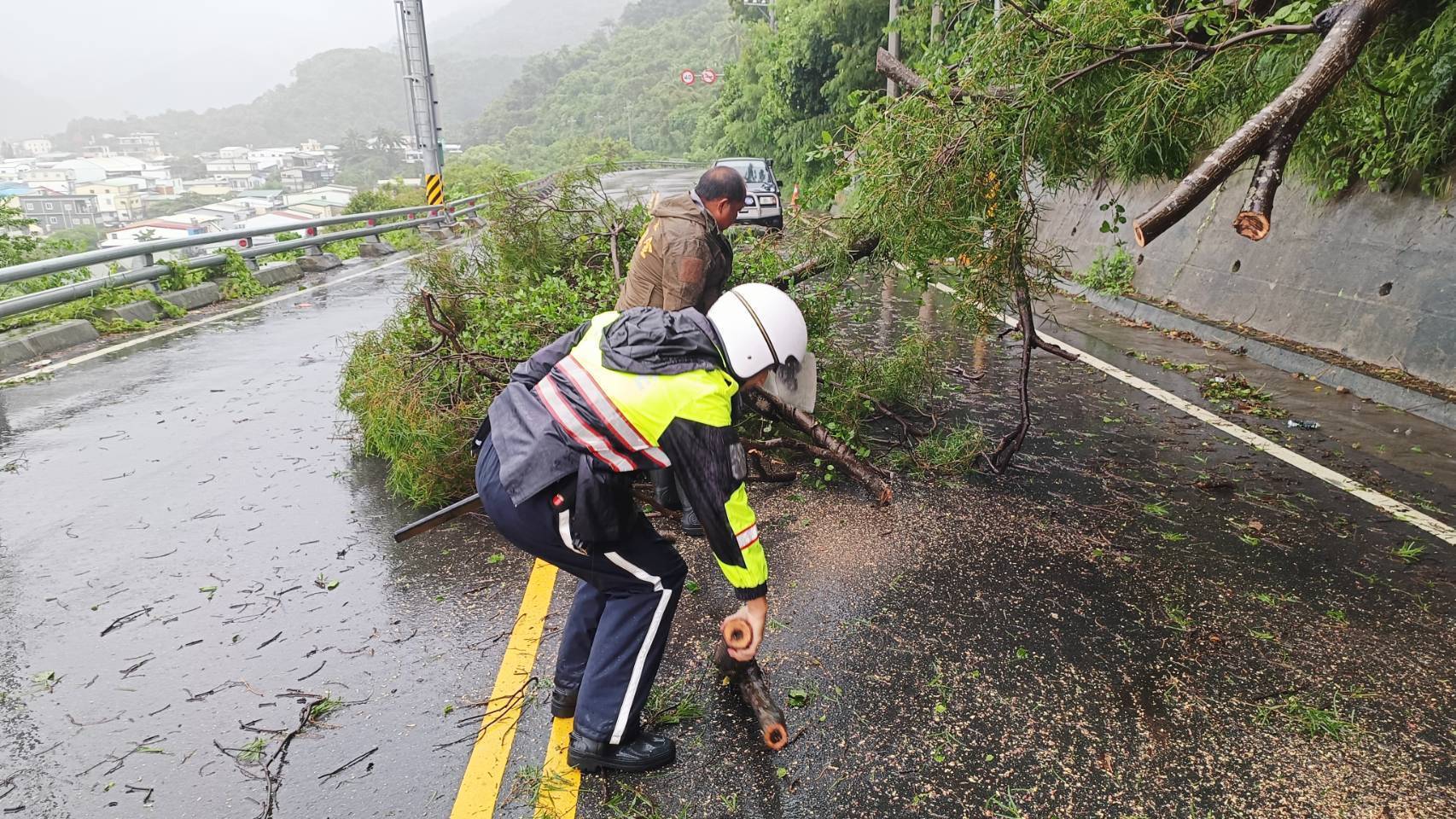 金崙大橋北端入口路樹倒塌阻　警、民協力迅速清除