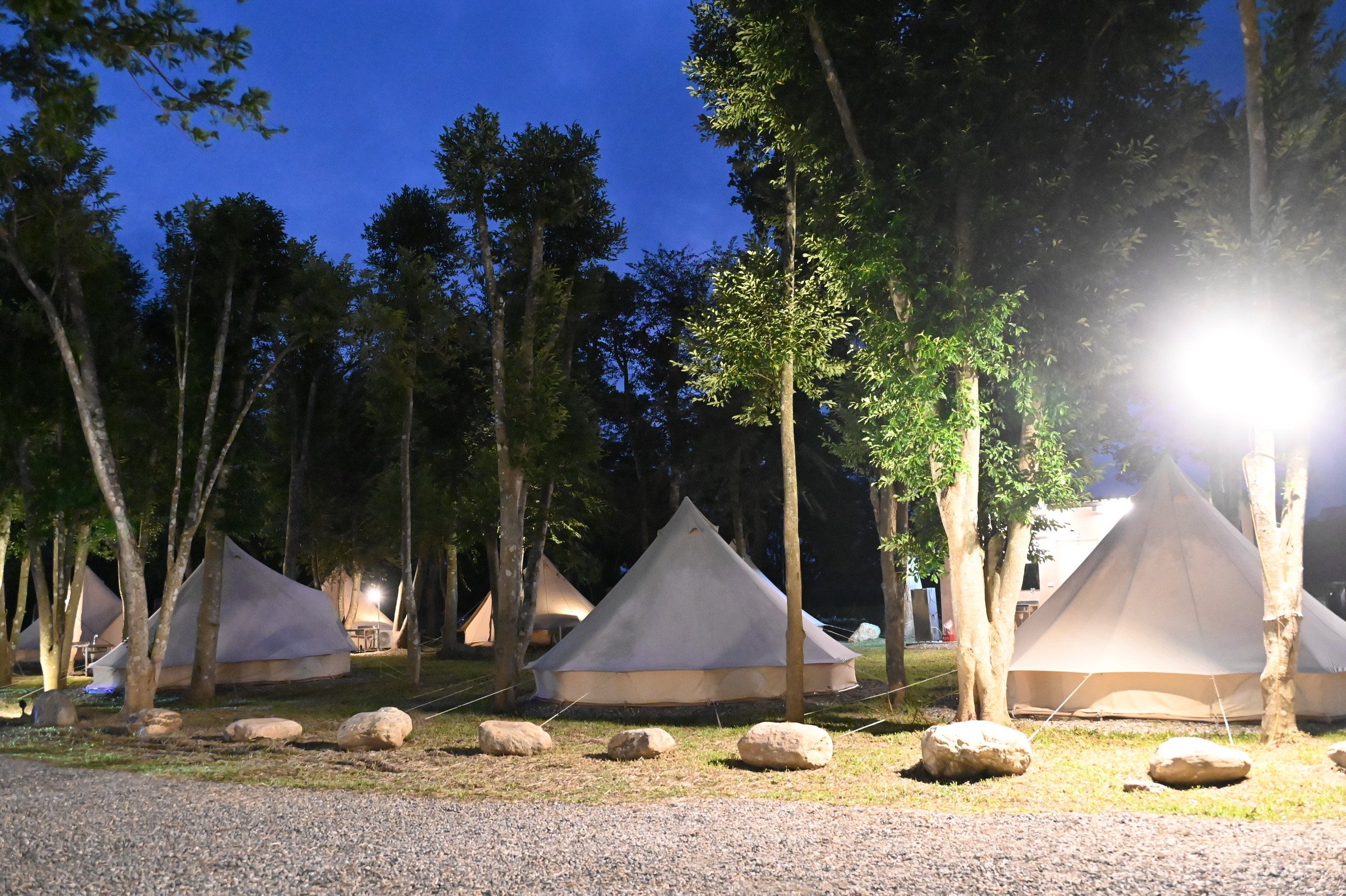 臺東露營新亮點！首件「農牧用地」露營場合法設立