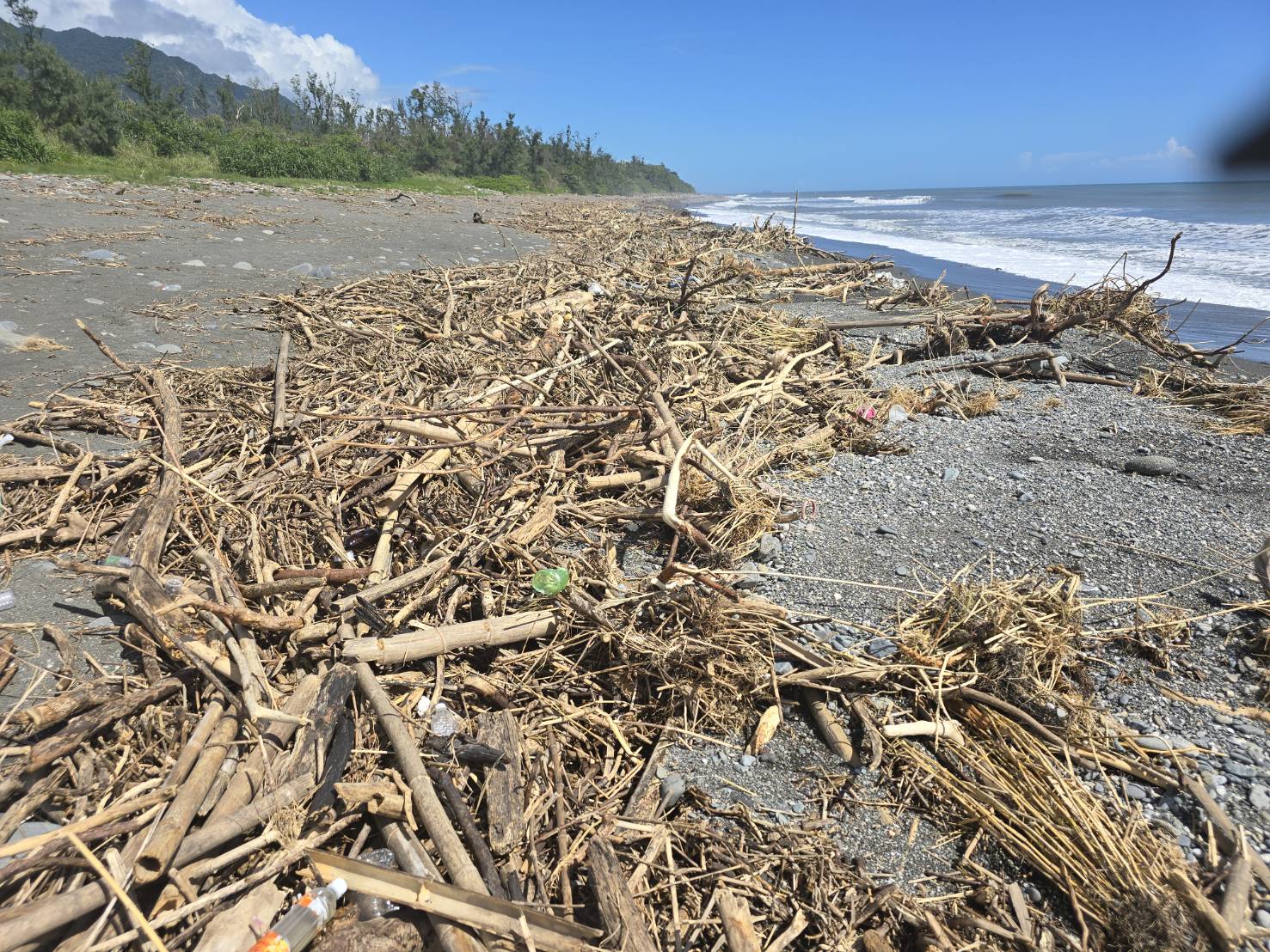 林保署臺東分署海岸地區「保安林滯留漂流木」10/21起開放徒手自由撿拾 