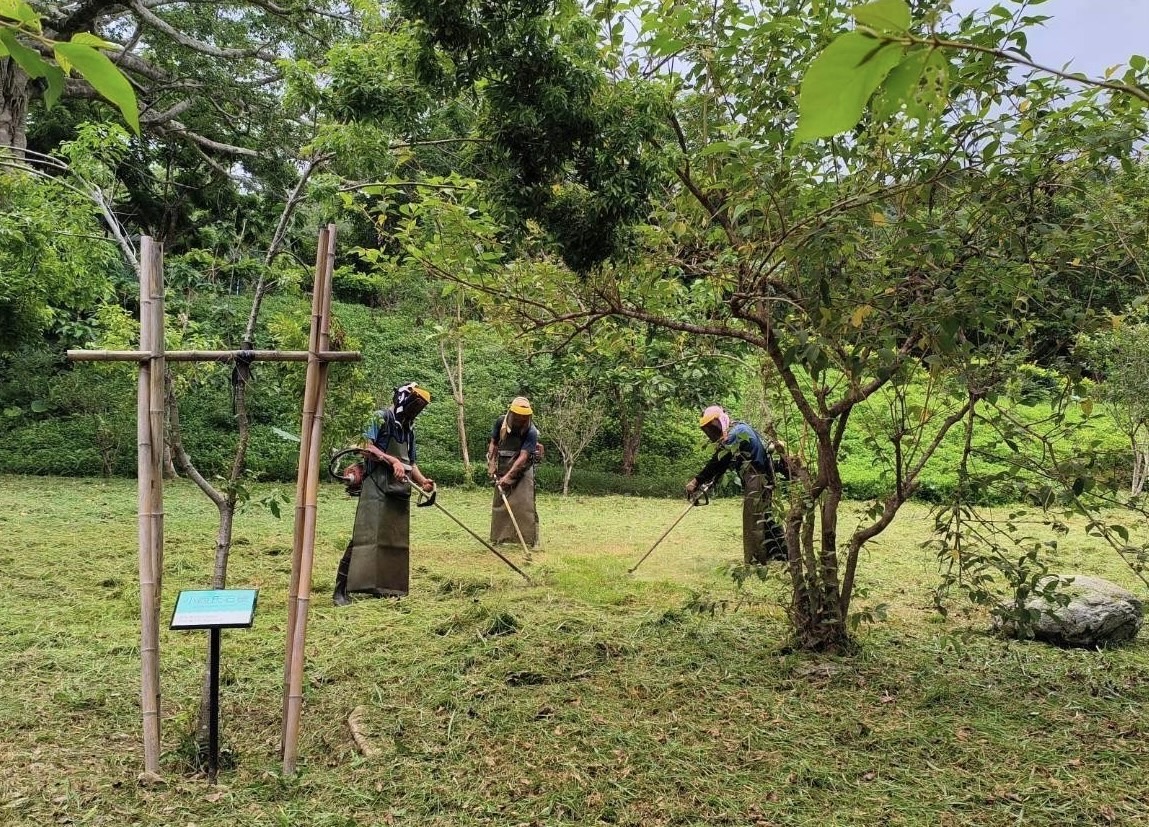 知本國家森林遊樂區、自然教育中心、虎比公寓知本館 10/22重新開放
