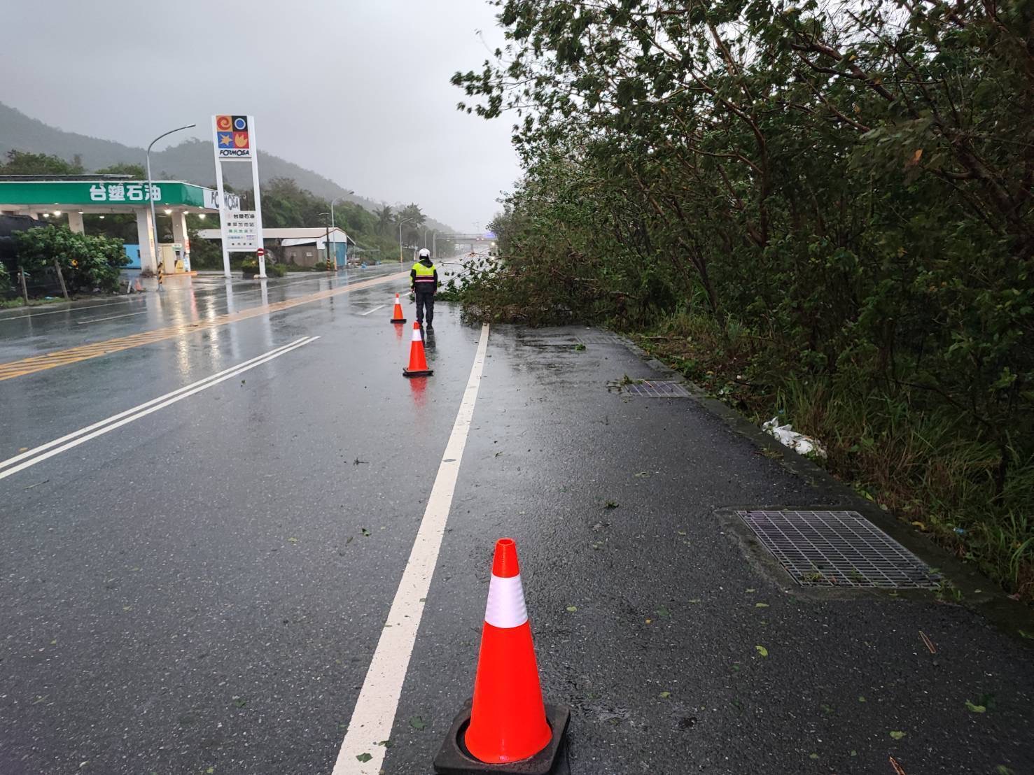 台9線路樹傾倒    警方與工務段協力清除
