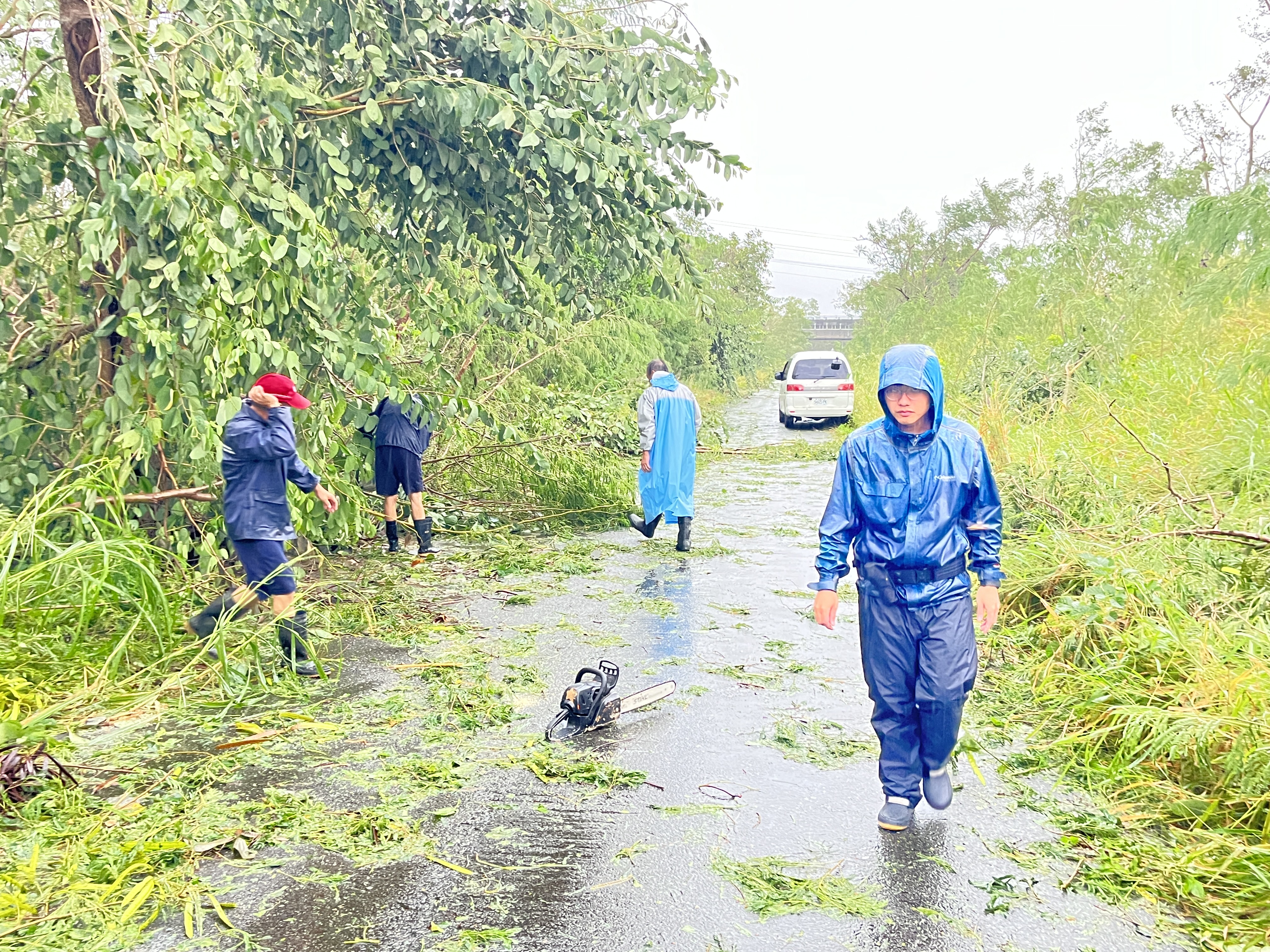 武陵外役監獄協助鹿野鄉　災後景觀恢復