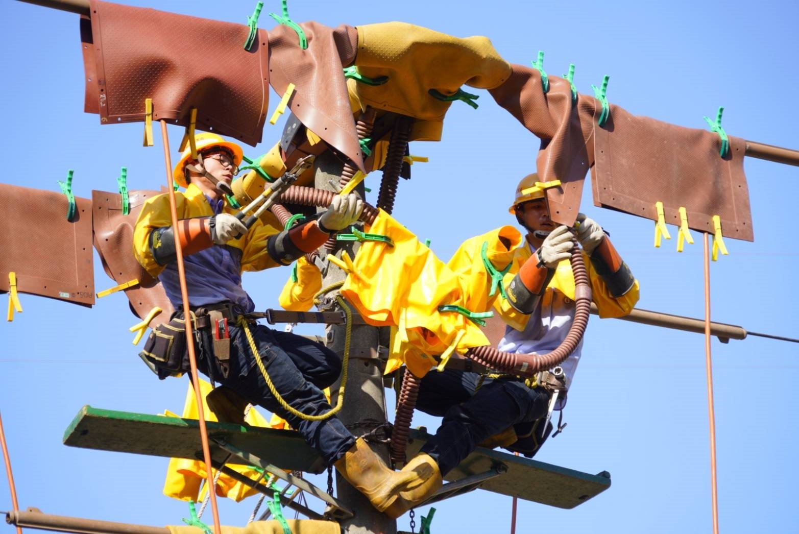 台電2025年招募千名新血！甄試簡章12/26公布，期待你來加入