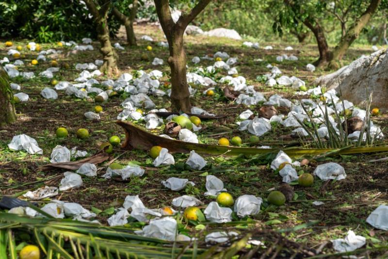 最新「康芮災情報告統計」出爐! 臺東縣損失5億3,048萬元