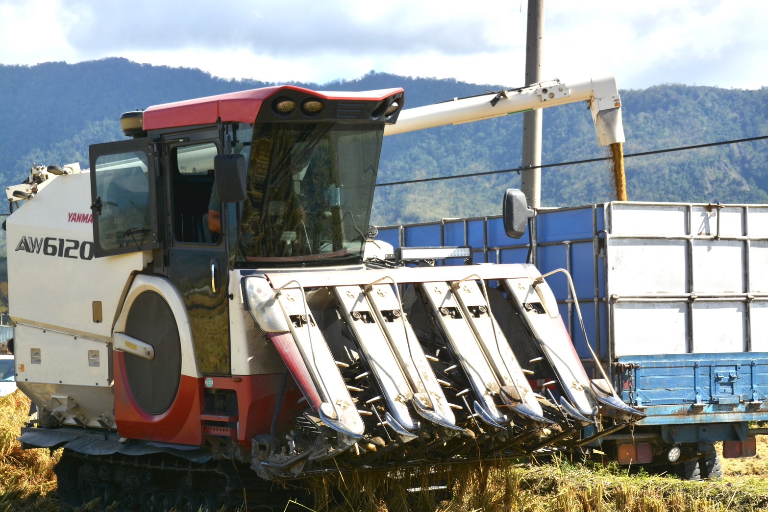 秋颱接二連三形成擔心心血全數泡湯　農會忙碌帶領支援的收割機隊進行搶收