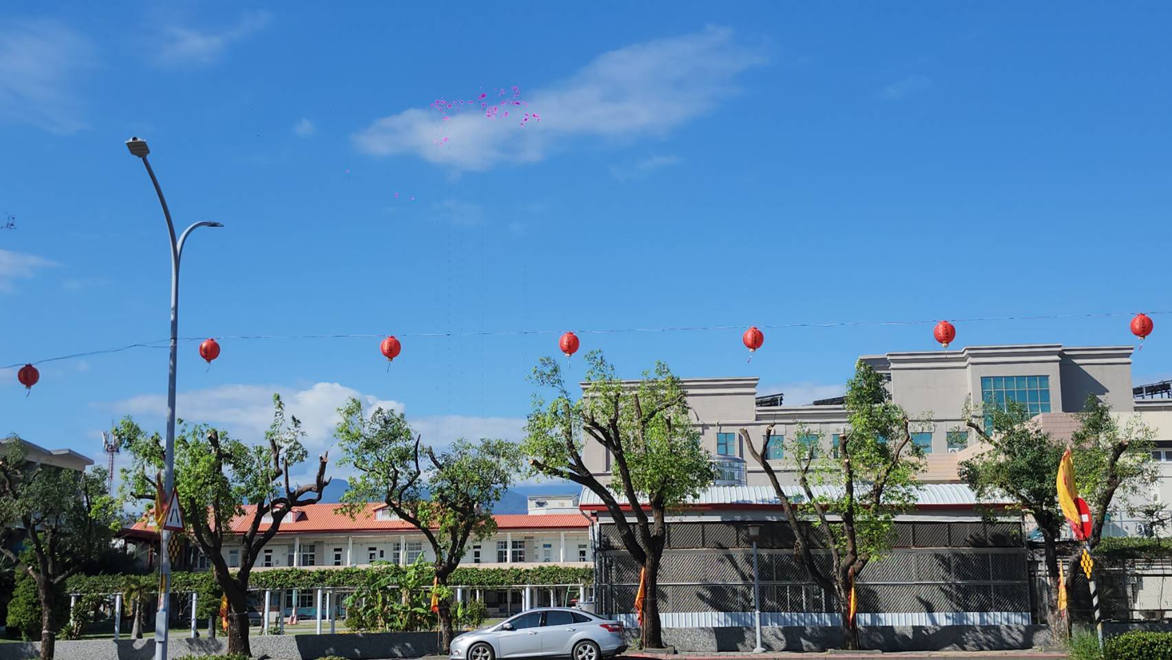 民眾環境保護意識抬頭 臺東都市景觀發展應重視修樹準則規範