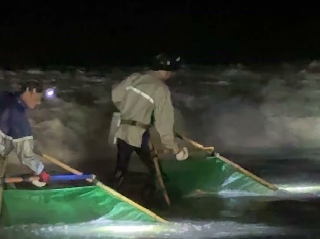 頂著寒風撈鰻苗　老天爺賜予的意外之財