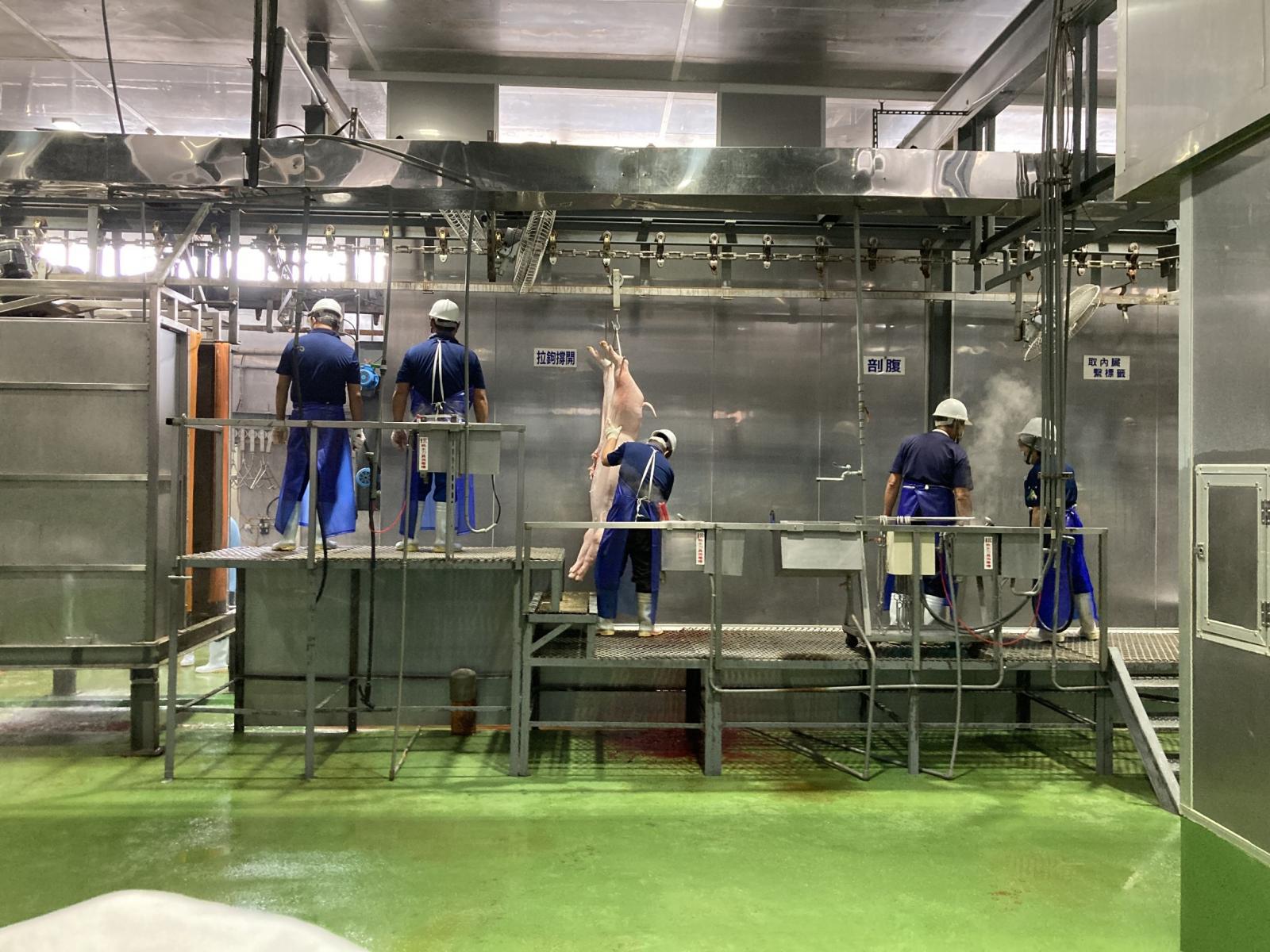 導入屠宰場HACCP系統 成功重返新加坡、菲律賓 生鮮豬肉市場