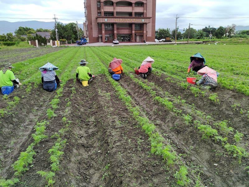 農業部獎勵農漁民子女就學金3月開始受理