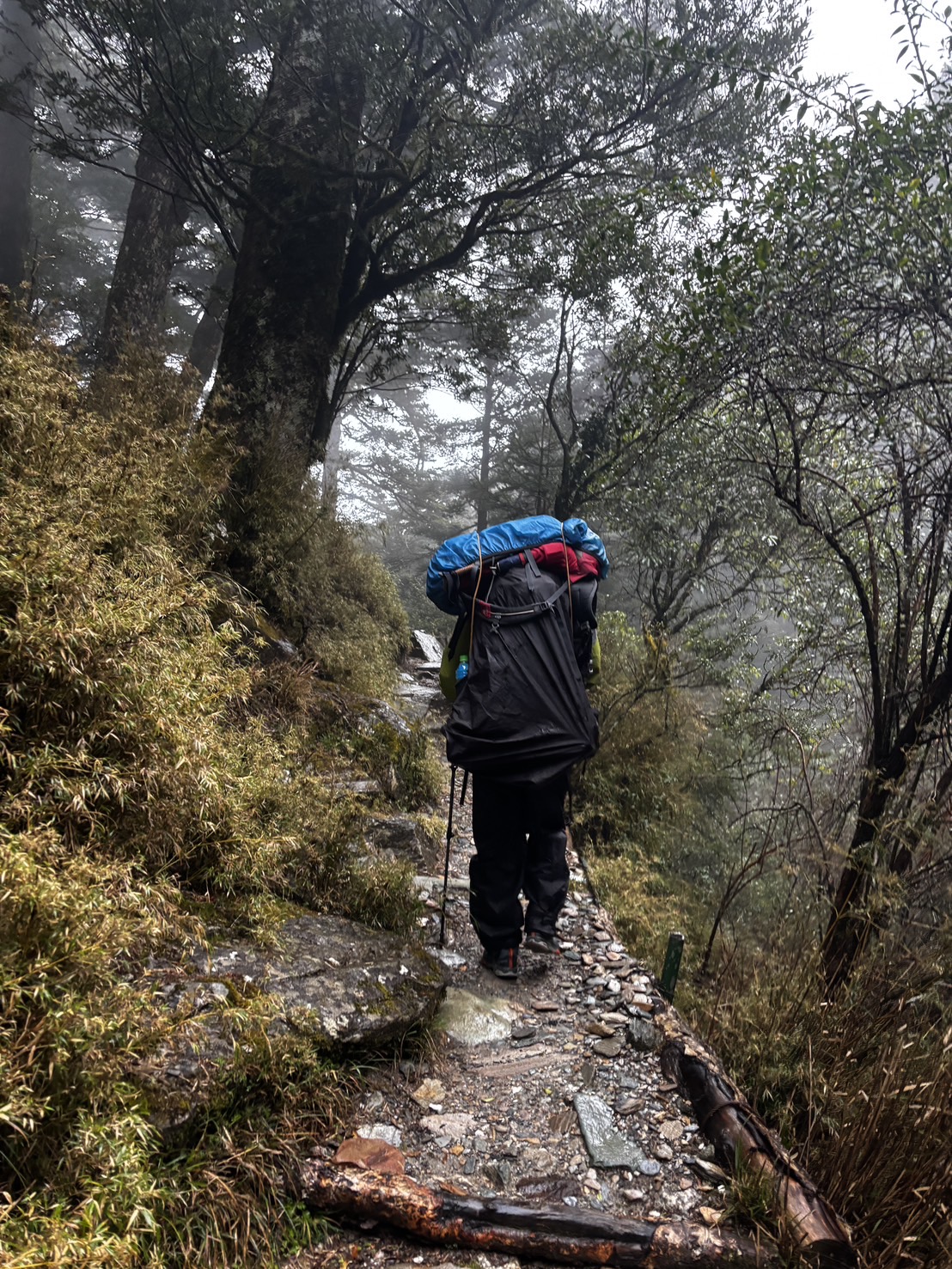 登山者嘉明湖步道途中身體不適 消防與林保署協力救援