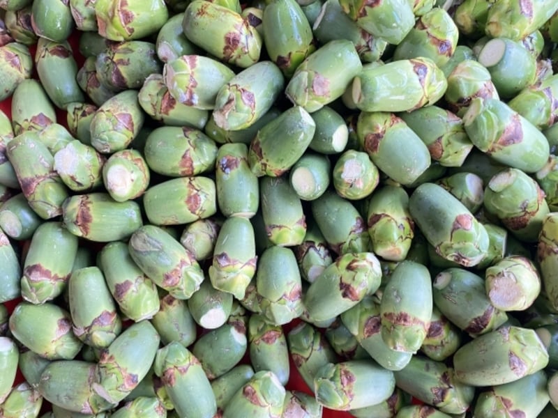 三不管的檳榔到2025年了，有進步嗎？