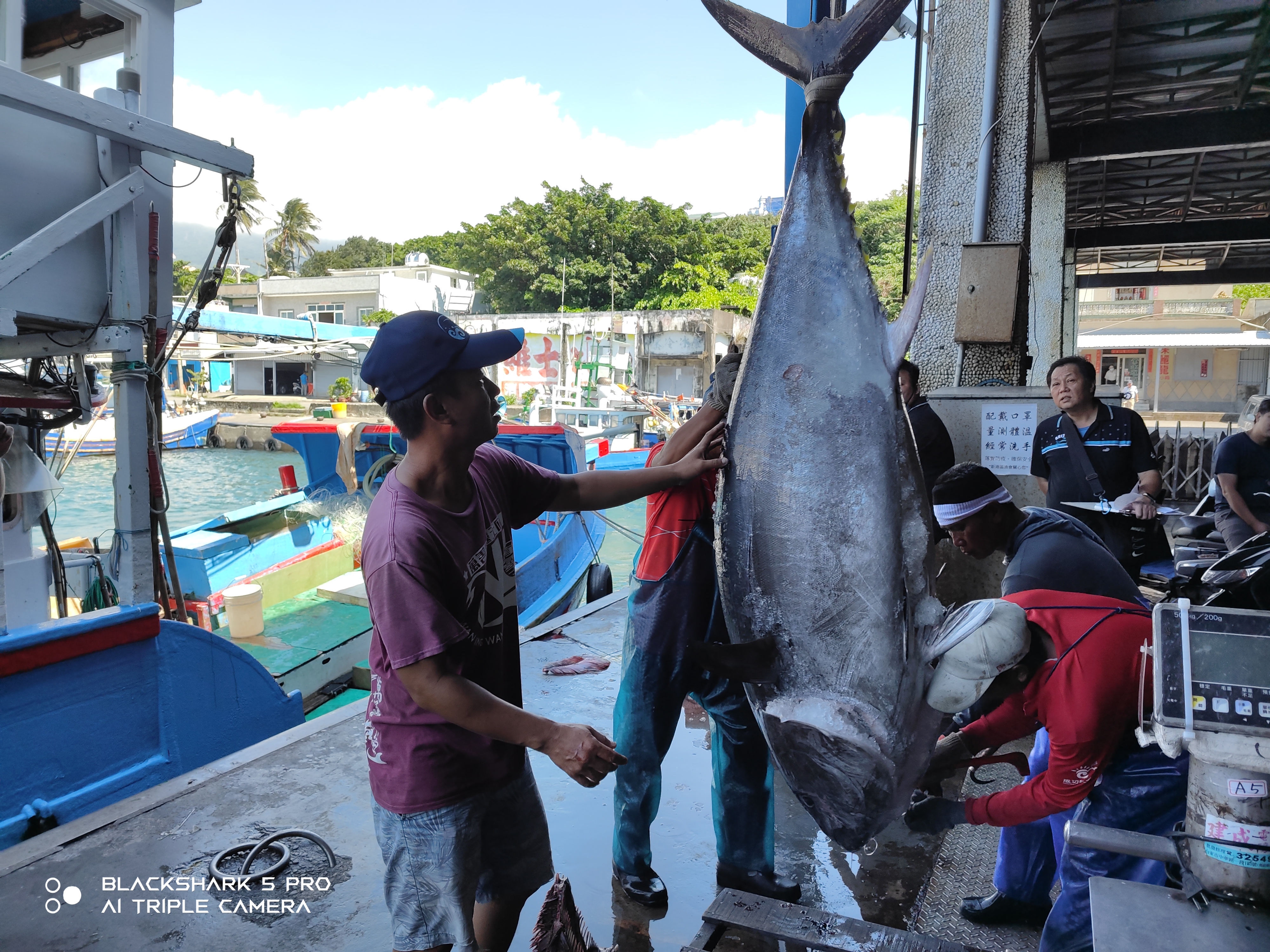 黑鮪王者誰來搶？臺東首推「頭香」獎金20萬 捕獲第一尾黑鮪魚就有獎！