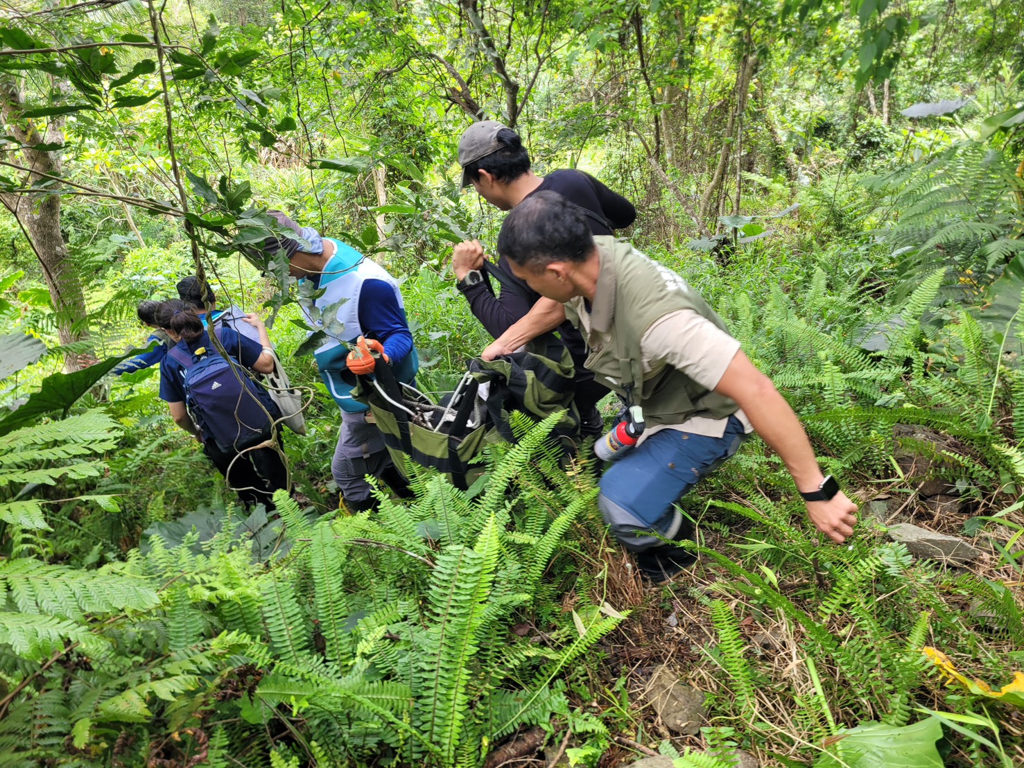 台灣黑熊陷套索不治　台東野外救援創下最低海拔紀錄