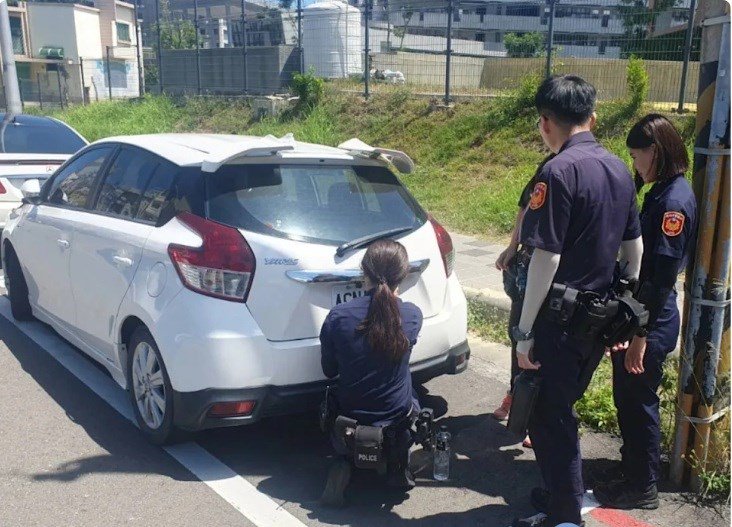 跨機關合作防堵! 「偽造號牌」下降近七成 舉發件數逐月下降