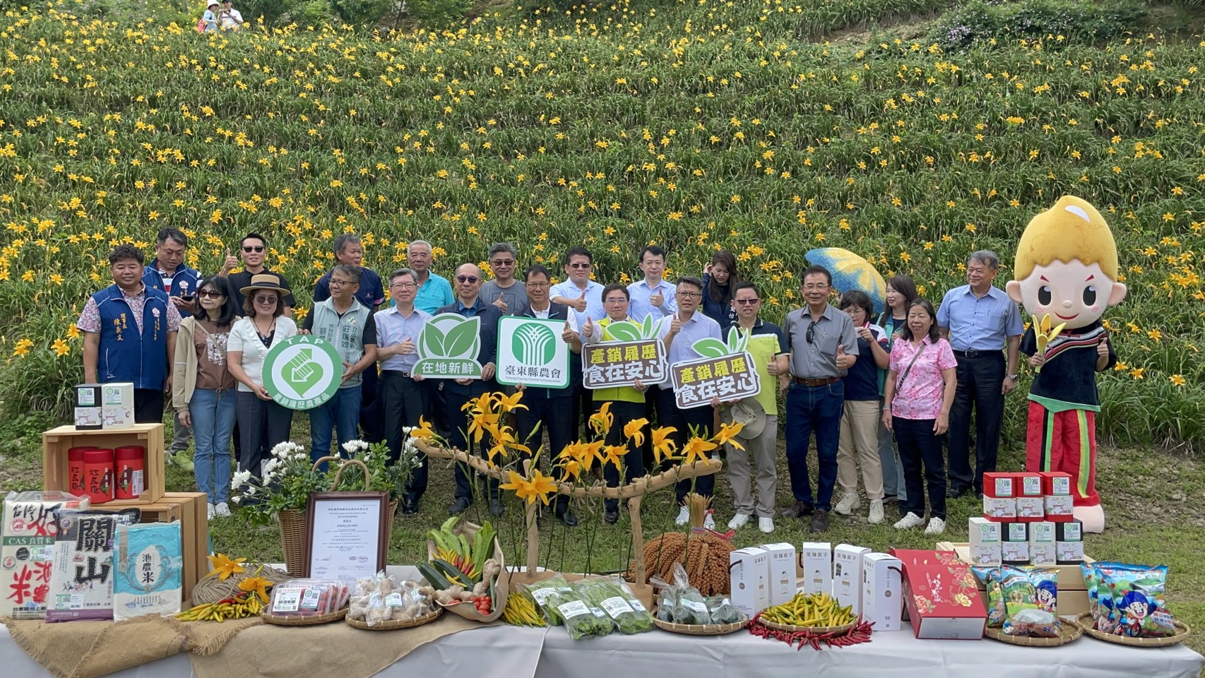 「花語、食旅、天山間」平地金針花海盛開 推廣台東產銷履歷農產×食農體驗打造農遊新亮點