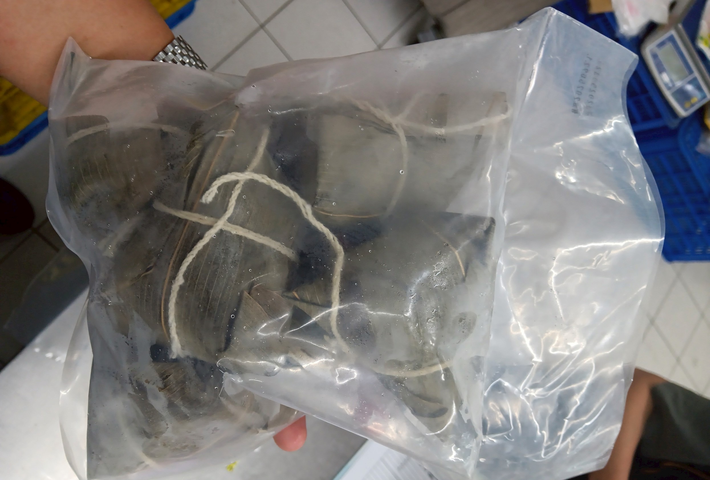 端午粽子吃得安心！臺東衛生局抽驗30件全數合格 強調拒買「太白太香」產品