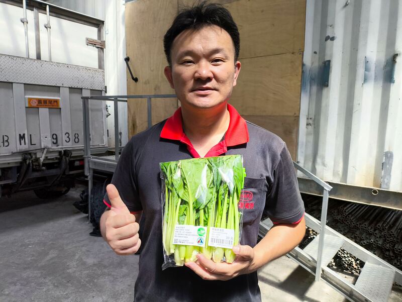 退役軍官投身農業 優質有機蔬菜成功上架