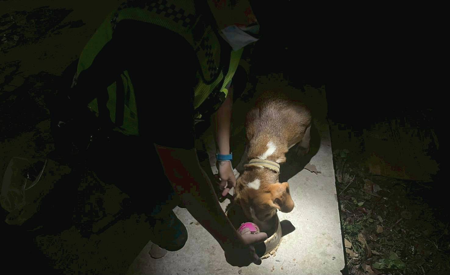 有狗晚間狂吠， 關山警前往處理