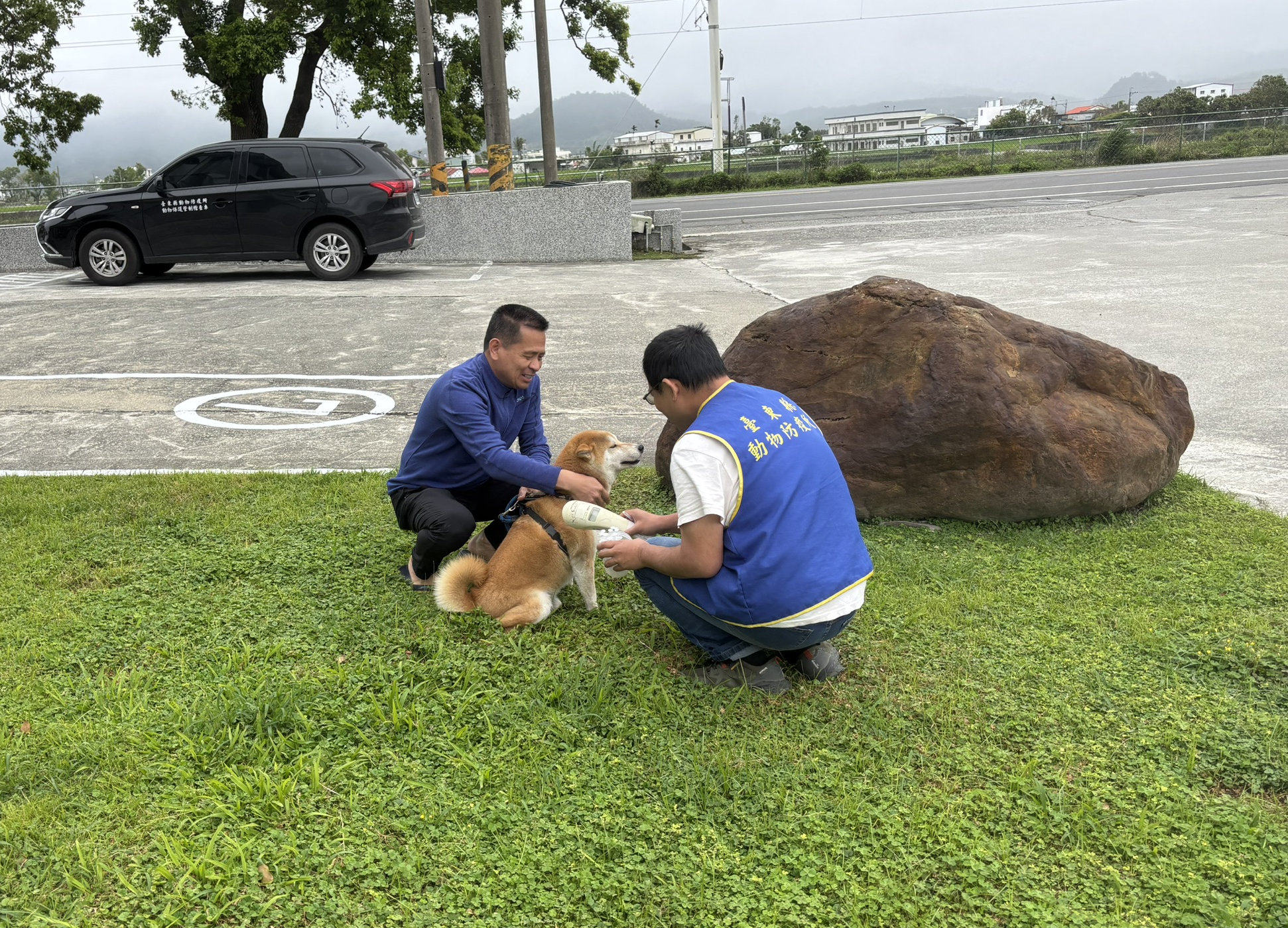 飼養貓強制辦理寵物登記 符合室內飼養 得免注射狂犬病疫苗