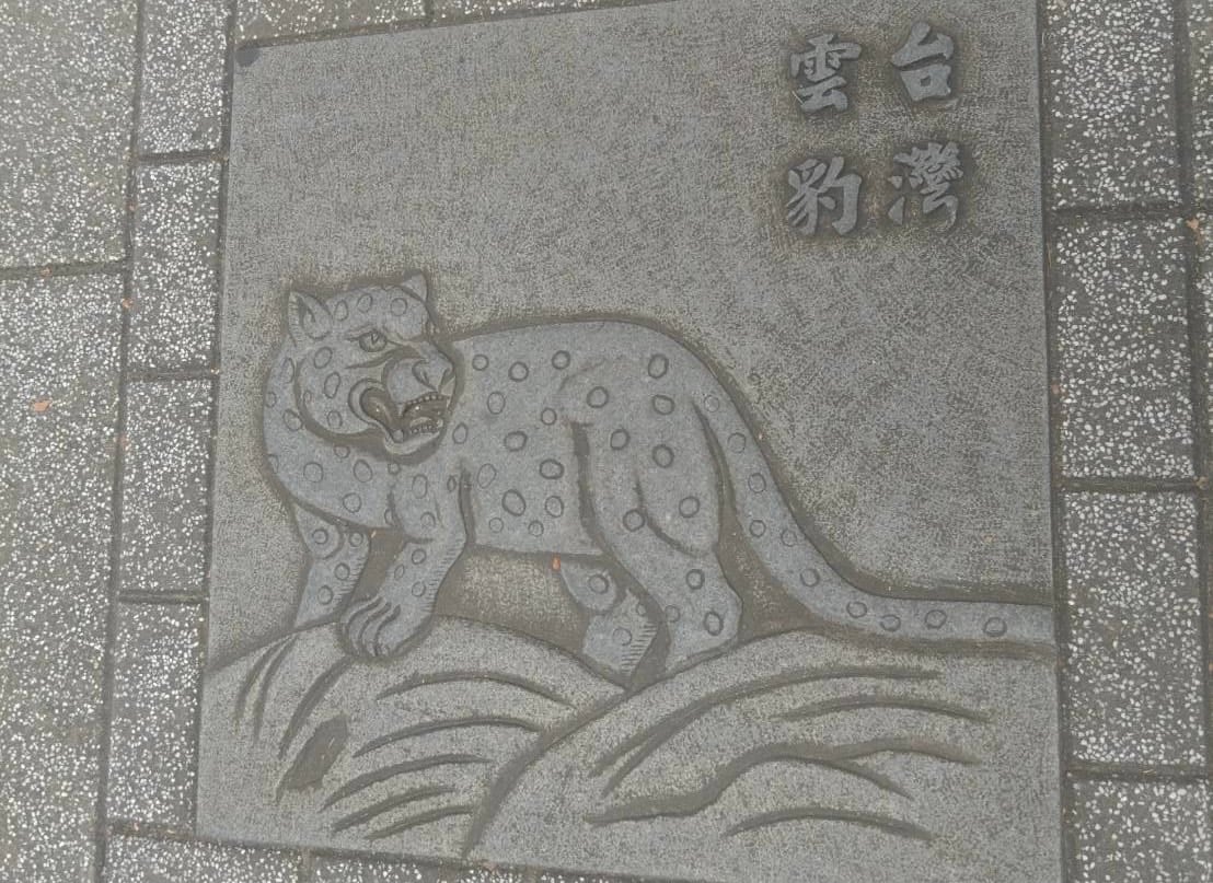 總統府人行道驚現野生動物圖騰 生態專家肯定寓意也建議修正細節