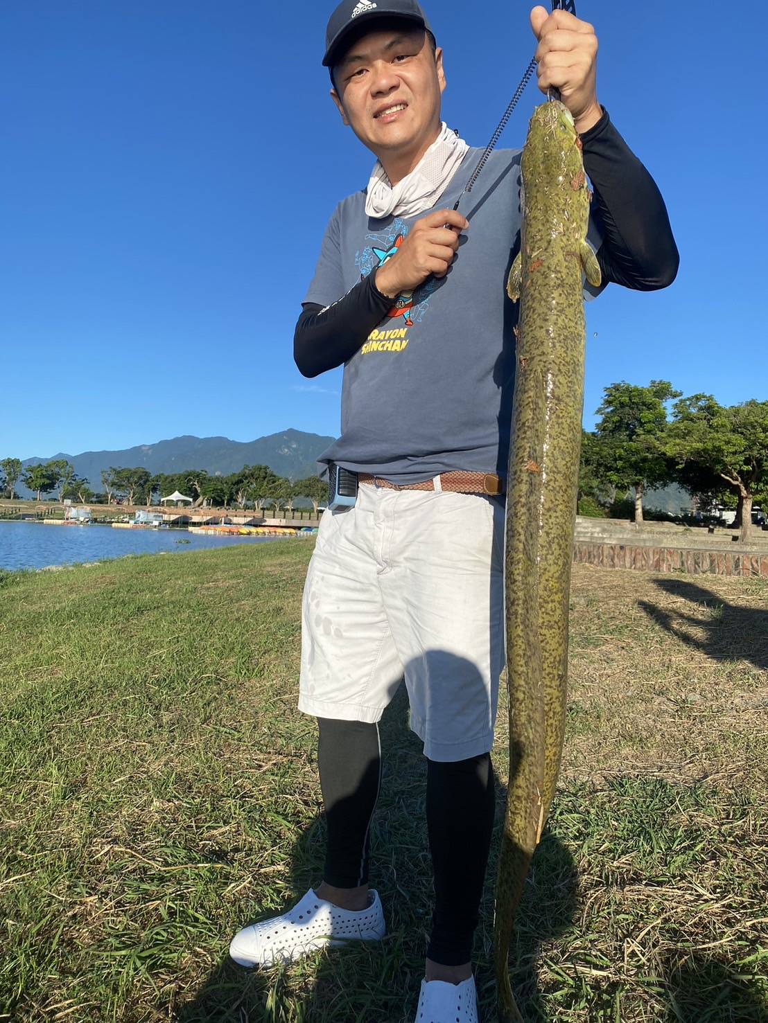 釣客釣到大型鱸鰻! 再度證明大坡池和海的「洄游路徑」未阻斷