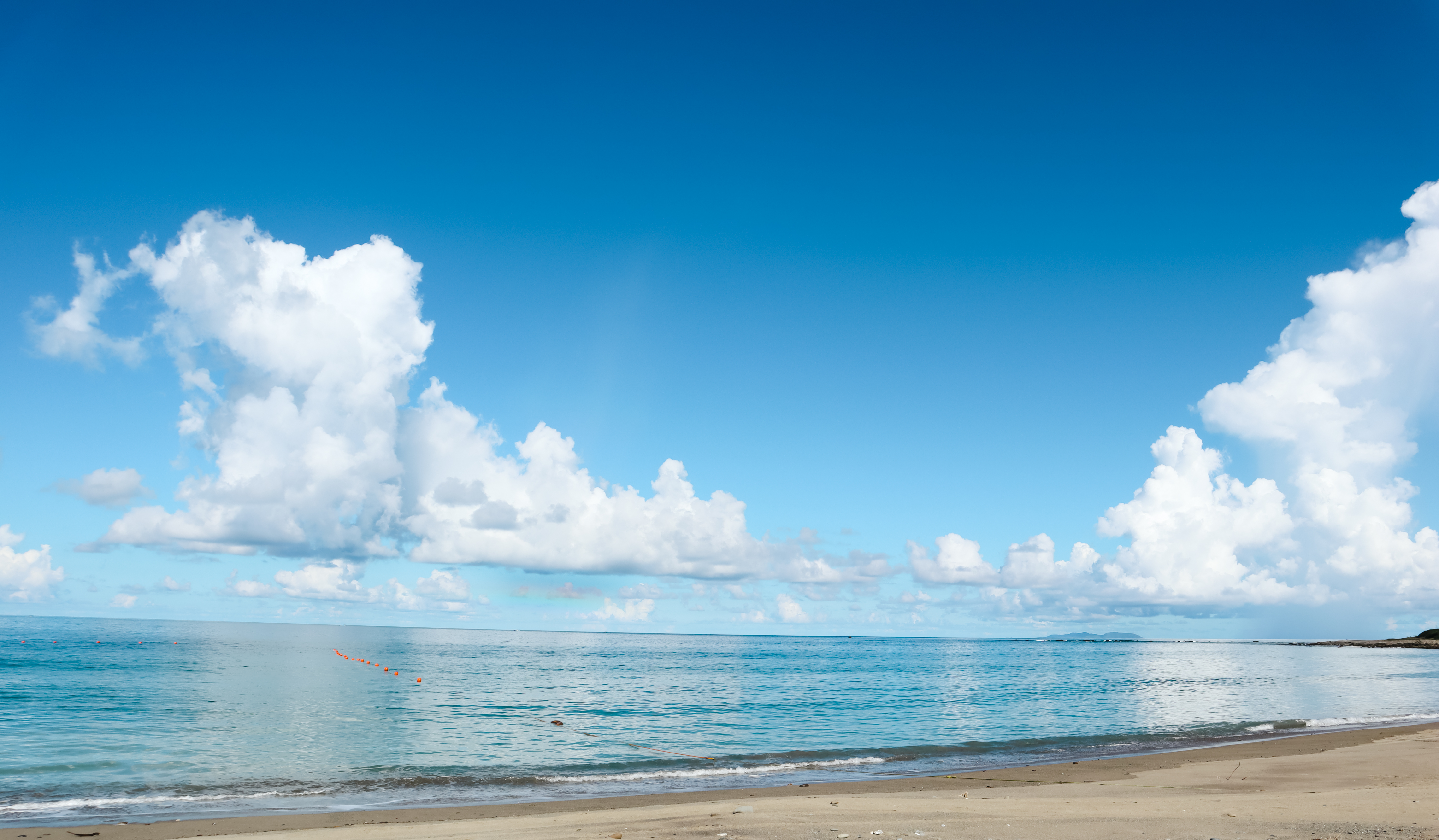 防溺教育出發! 8月推水域安全親子體驗活動 即日起開放線上報名