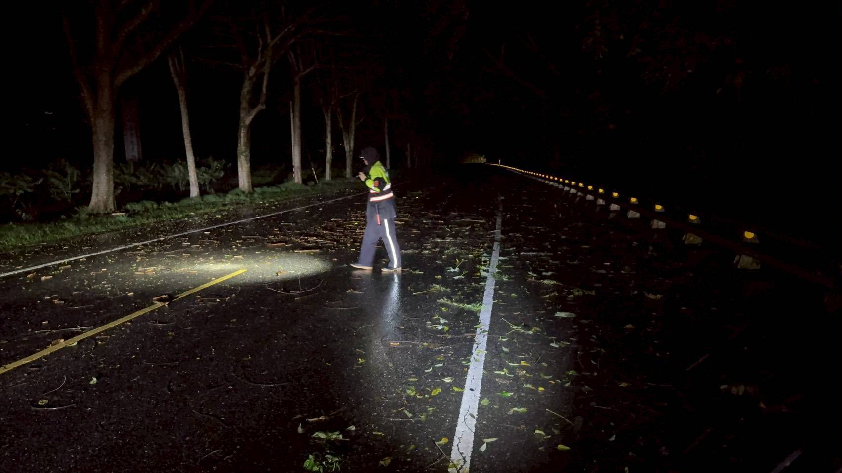 路樹不抵雨勢暗夜倒下 鹿野警雨中徒手排除障礙