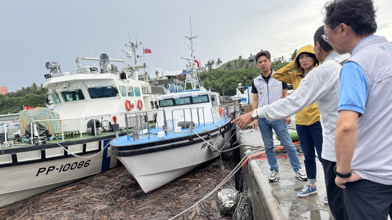 富岡漁港湧入漂流木