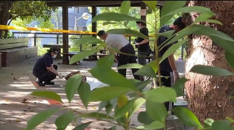 鯉魚山晨運驚見赤膊男性遊民 躺地死亡多時疑猝死