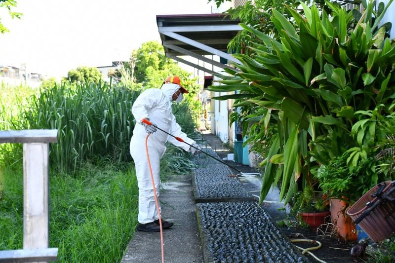 「屈公病」為「蚊媒傳播」! 疾管署澄清: 不會人傳人 呼籲落實「巡、倒、清、刷」